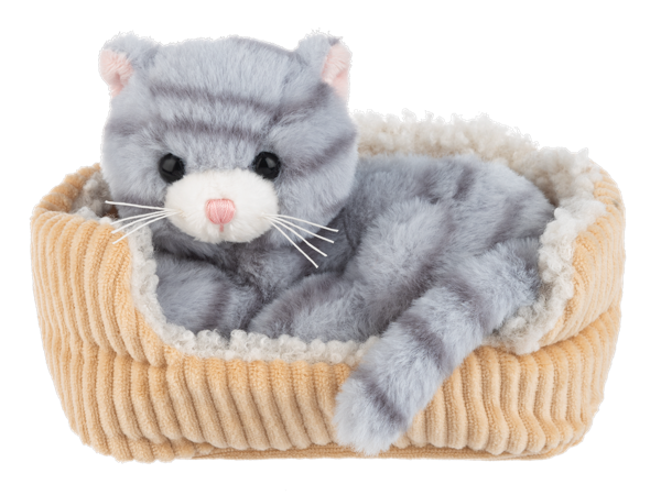 Gifts for Little Ones