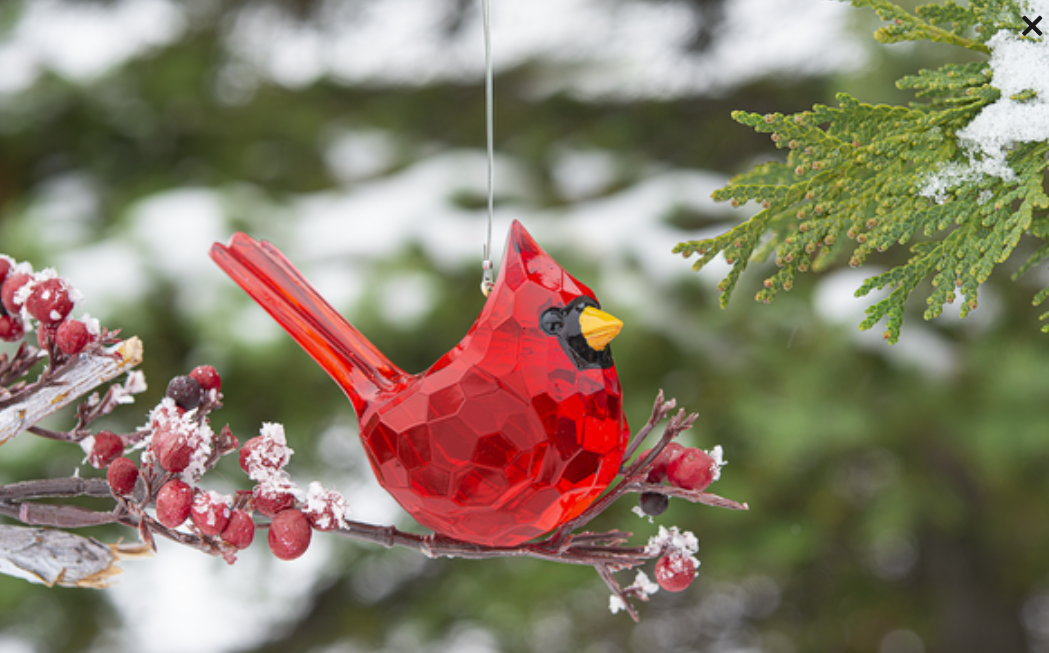 Elegant acrylic cardinal Christmas ornament by GANZ, a memorial keepsake with vibrant red bird design for holiday decor.