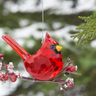 Elegant acrylic cardinal Christmas ornament by GANZ, a memorial keepsake with vibrant red bird design for holiday decor.
